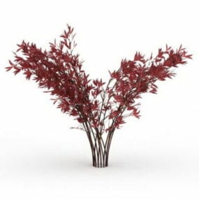 빨간 팁 Photinia 관목 3d 모델