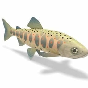 Animal poisson truite à bande rouge modèle 3D