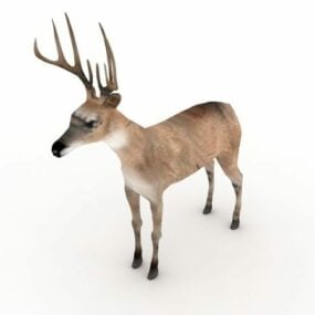 Τρισδιάστατο μοντέλο America Reindeer Animal