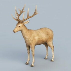 Animal de renne modèle 3D