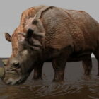Rhino Rig & Animated