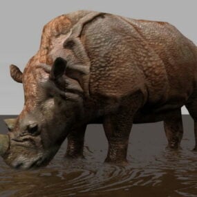 Rhino Rig & Animated 3d model