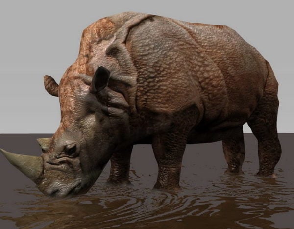 Rhino Rig & Animated