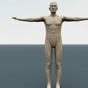 Rigged 3D model základní postavy člověka