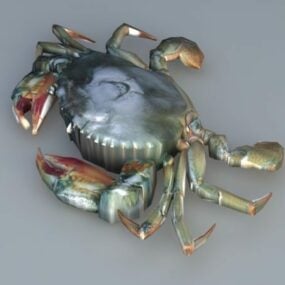 דגם תלת מימד של River Crab