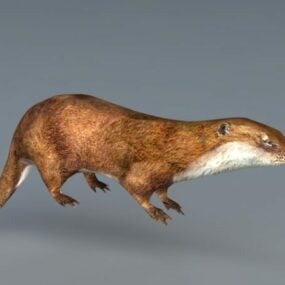 River Otter 3d model