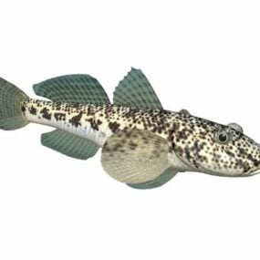 圆形虾虎鱼动物3d模型