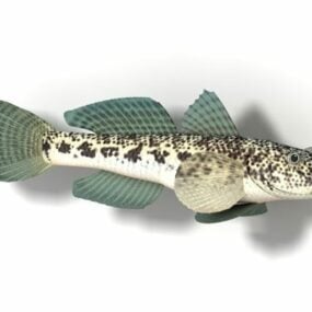 동물 라운드 망둥이 물고기 3d 모델