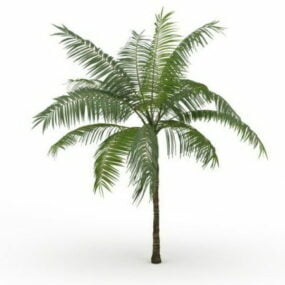 3D model královské palmy