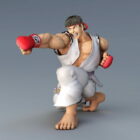 Ryu Street Fighter Character