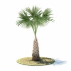 Sabal Palm Tree