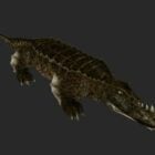 Saltwater Crocodile Character