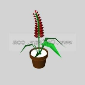 Salvia Splendens Plant 3d-model