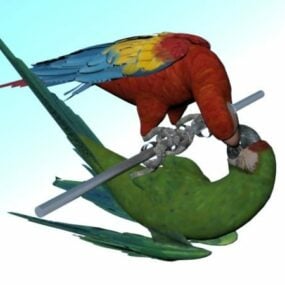 Múnla 3d Ainmhithe Scarlet Macaw Birds