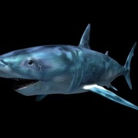 דגם תלת מימד של כריש מפחיד