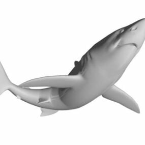 무서운 상어 장비 3d 모델