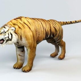 Skrämmande Tiger 3d-modell