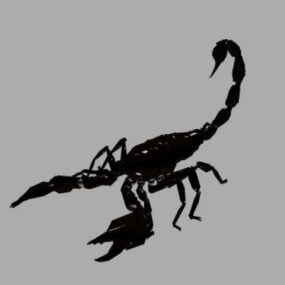 Black Scorpion Wild Animal 3D-malli