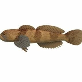 Model 3d Ikan Sculpin