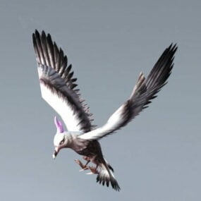 Seagull Flying Rig 3d model