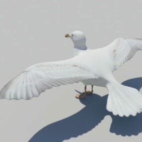 Seagulls Flying 3d model