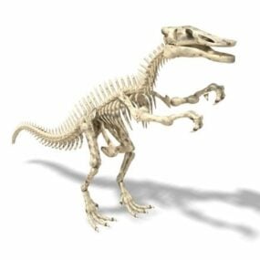 Modello 3d dello scheletro del dinosauro Shantungosaurus