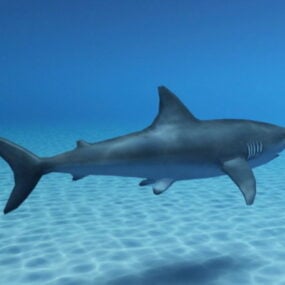 Tiburón nadando océano modelo 3d