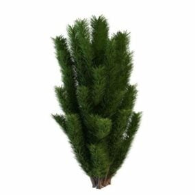 Short Pine Tree 3d model