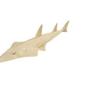 Shovelnose Shark Animal דגם תלת מימד