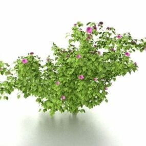 灌木与粉红色的花朵 3d model