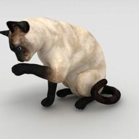 Τρισδιάστατο μοντέλο ζώου Siamese Cat