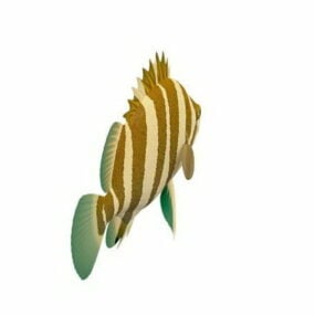Siamesisches Tigerfisch-Tier-3D-Modell