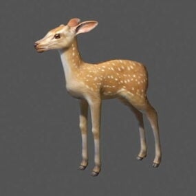 Low Poly Sika Deer 3d μοντέλο