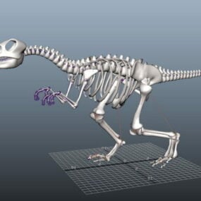 Skjelett Dinosaur Rig 3d-modell