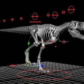 Tyrannosaurus Rex scheletrico Rigged modello 3d