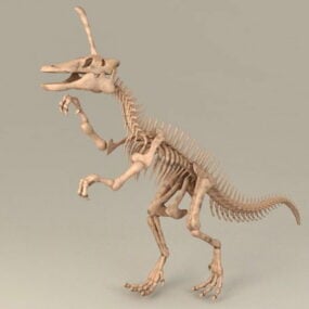 Esqueleto de ossos de dinossauro Modelo 3D