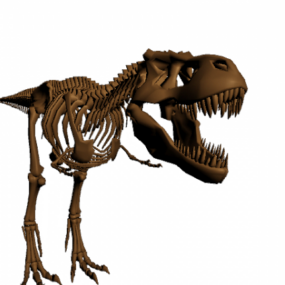 Model 3d Tulang Dinosaurus Kerangka