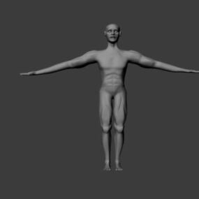 Mô hình 3d cơ thể nam gầy