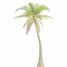Skrå palmetræ