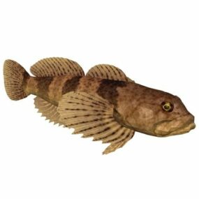 칙칙한 Sculpin 물고기 동물 3d 모델
