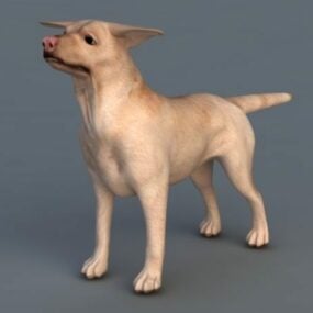 Model 3D małego brązowego psa