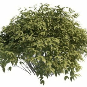 Pequeño árbol de arbusto modelo 3d