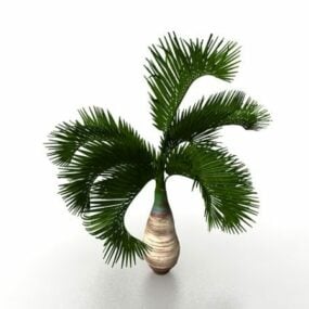 景观美化小棕榈树3d模型