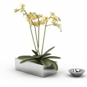 Small Rectangle Flower Pot 3d model