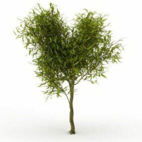 Klein wilgenboom 3D-model