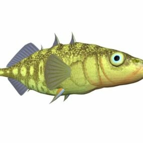 작은머리 큰가시등 물고기 동물 3d 모델