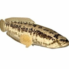 Snakehead 물고기 동물 3d 모델