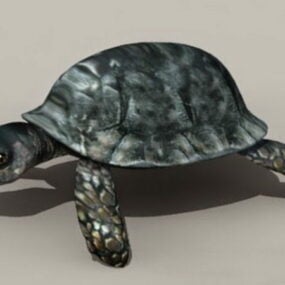 דגם תלת מימד של Snapping Turtle