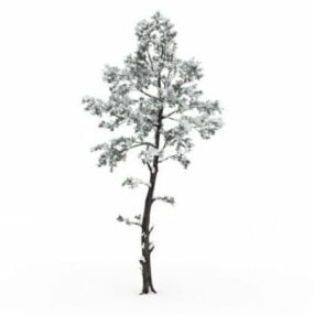 Snowy Tree 3d model