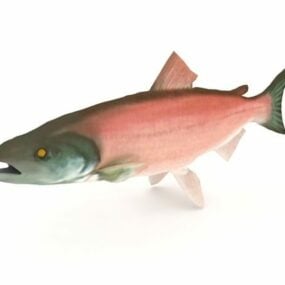 홍안 연어 동물 3d 모델